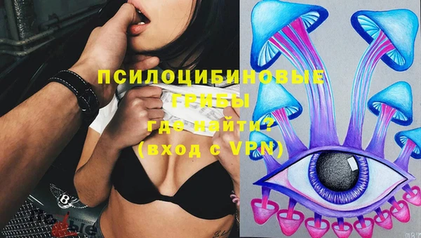 экстази Белокуриха