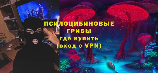 экстази Белокуриха