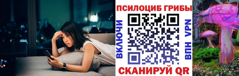 Псилоцибиновые грибы мухоморы  ссылка на мегу маркетплейс  Мезень 